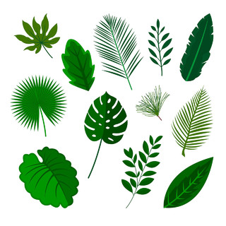 绿色热带植物树叶装饰小清新免抠素材